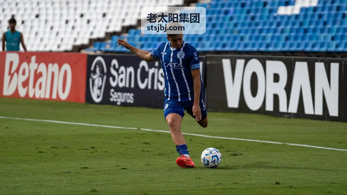 老太阳集团商业咨询案例